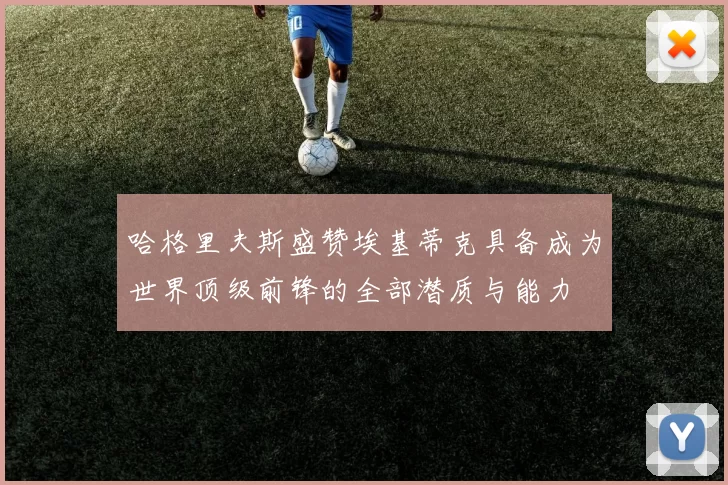 哈格里夫斯盛赞埃基蒂克具备成为世界顶级前锋的全部潜质与能力